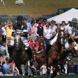 Polo, Commercial Wedding Photographers: Photoscience.co.uk